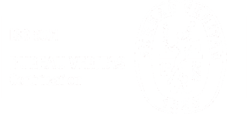 ISO 9001 BUREAU VERITAS Certification